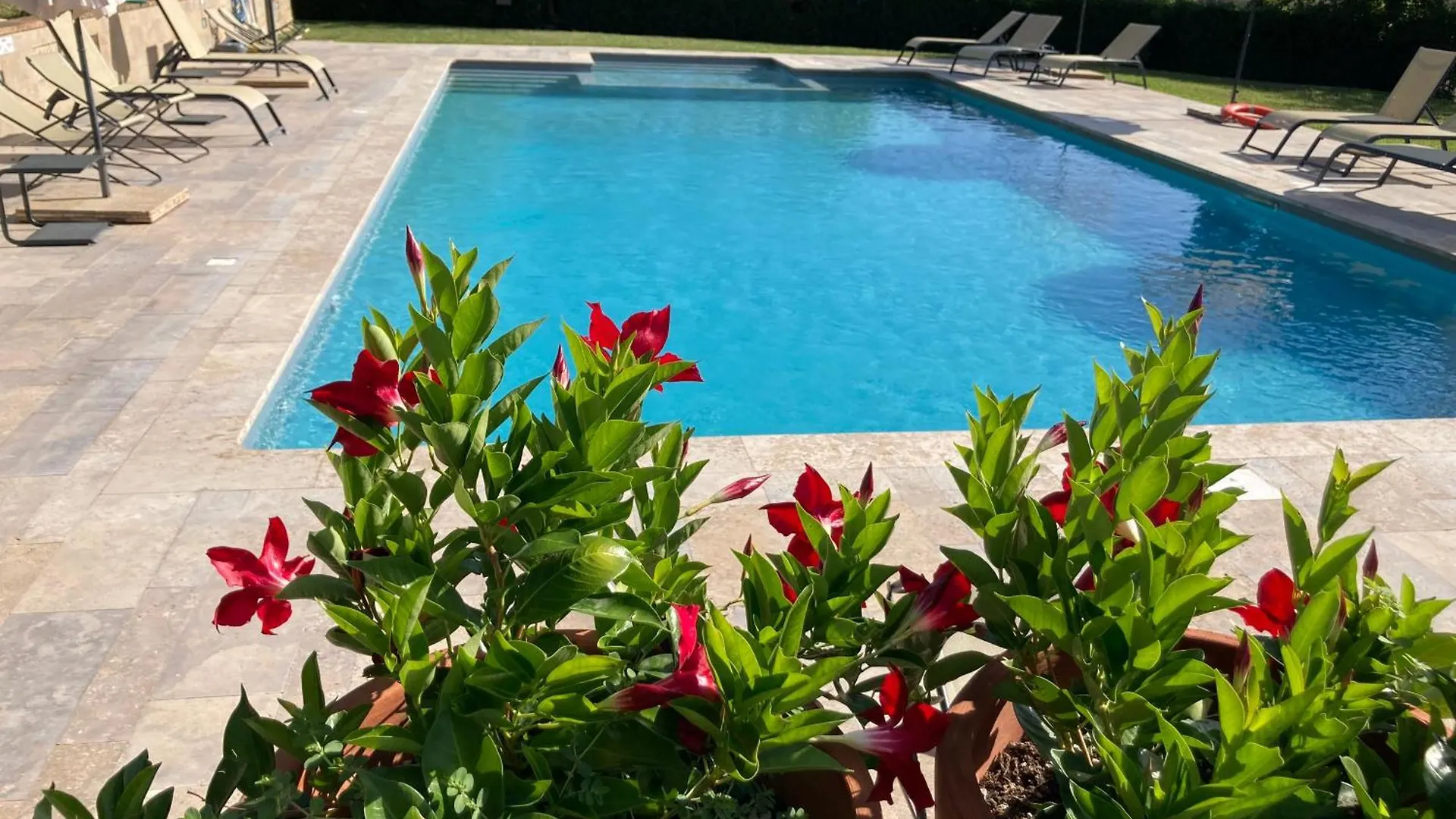 Apartment Agriturismo Podere Il Moro Brucciano